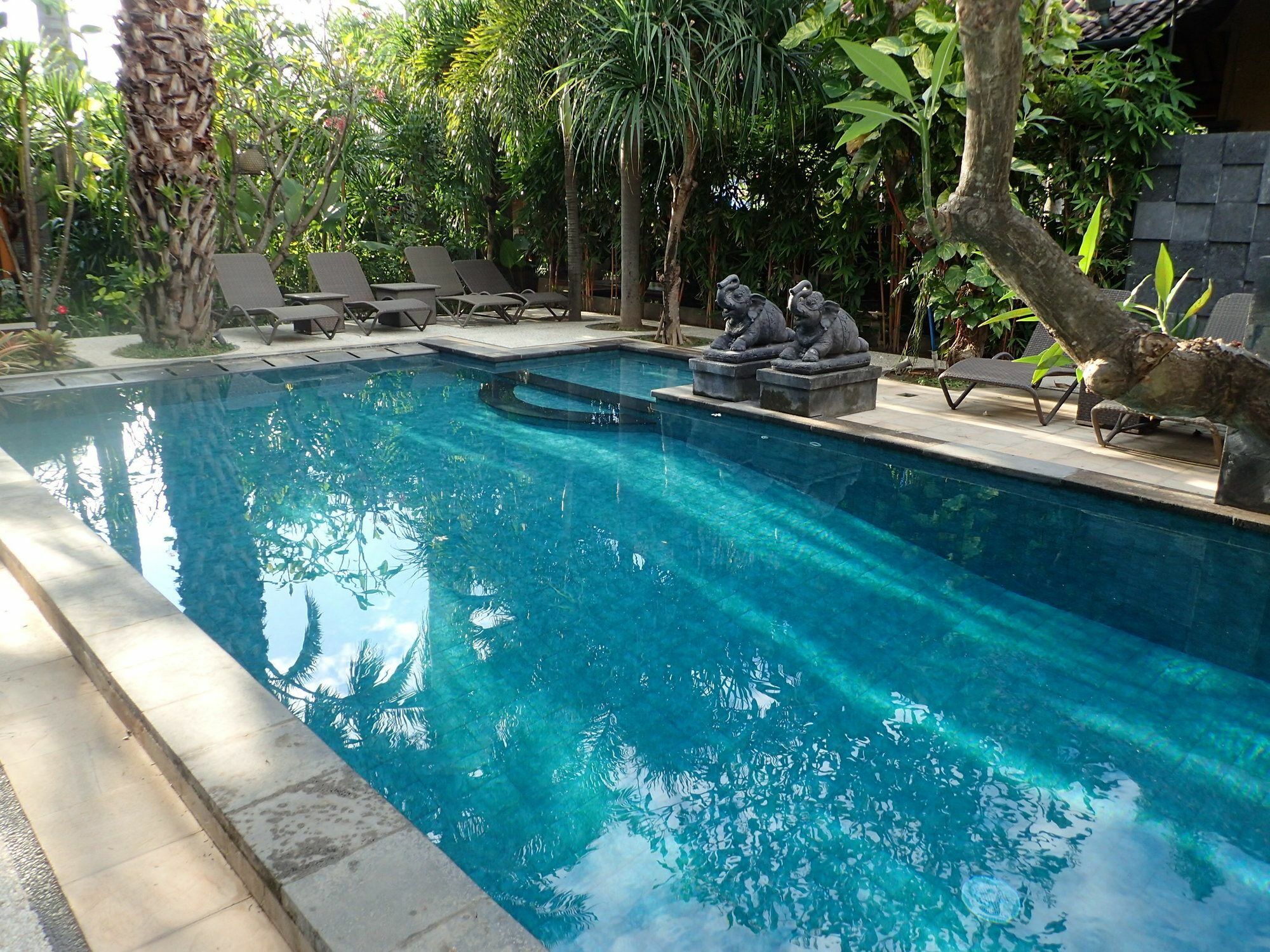אמד Alami Resort, Restaurant And Dive Center מראה חיצוני תמונה